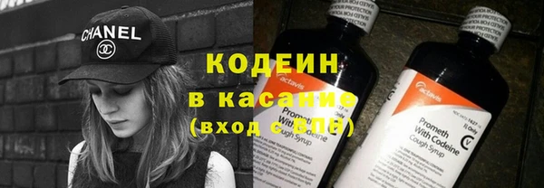 амф Гусев
