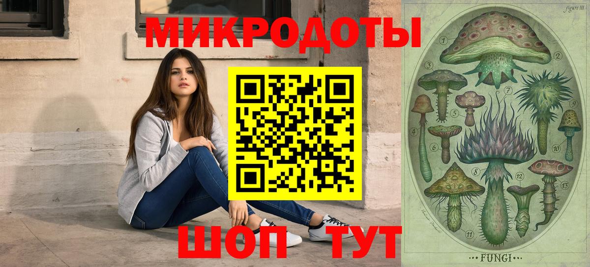 где найти   Мценск  Псилоцибиновые грибы Magic Shrooms  Галлюциногенные грибы Psilocybe 