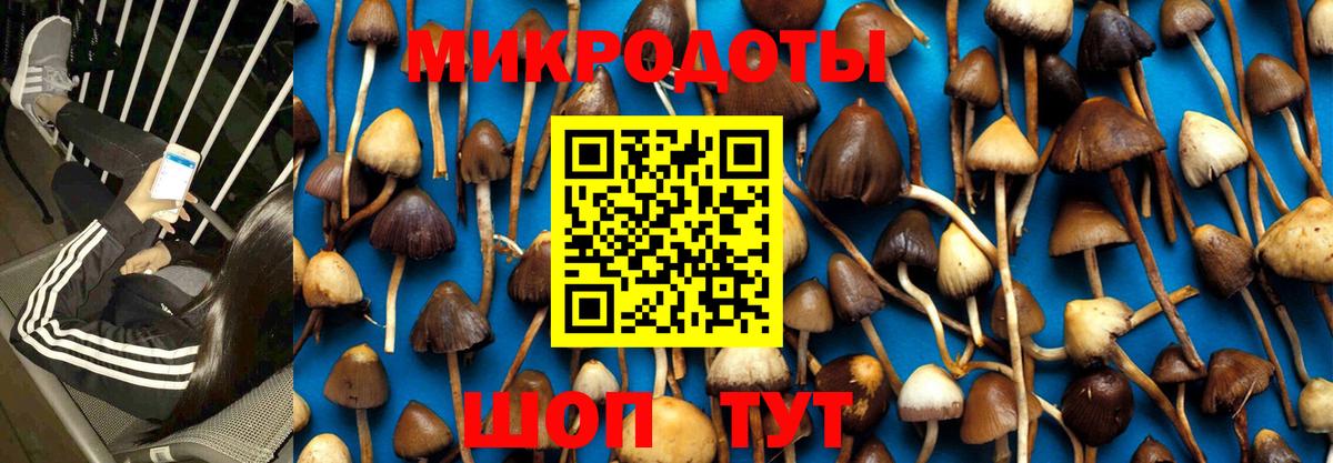 Галлюциногенные грибы GOLDEN TEACHER Мценск