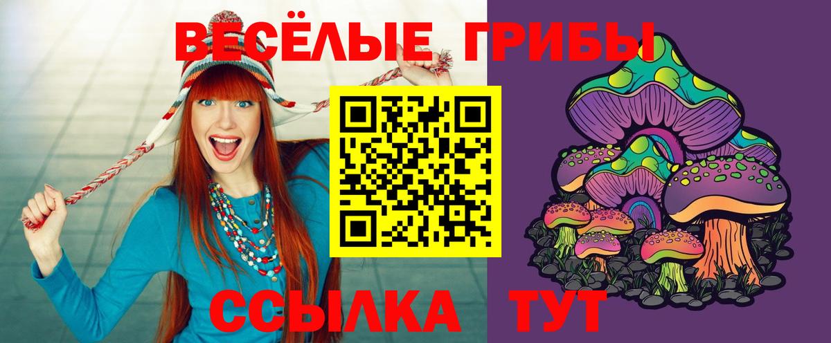 Галлюциногенные грибы Psilocybine cubensis  Вход с VPN  Мценск  Галлюциногенные грибы прущие грибы 