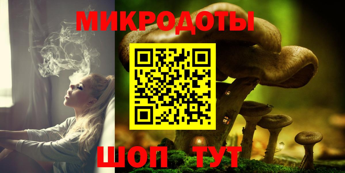 Галлюциногенные грибы Psilocybine cubensis Мценск